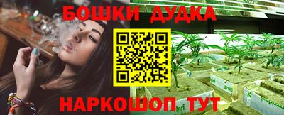 дмт Новодвинск