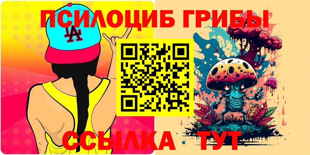 Псилоцибиновые грибы мицелий  наркота  Удомля  Вход с VPN 