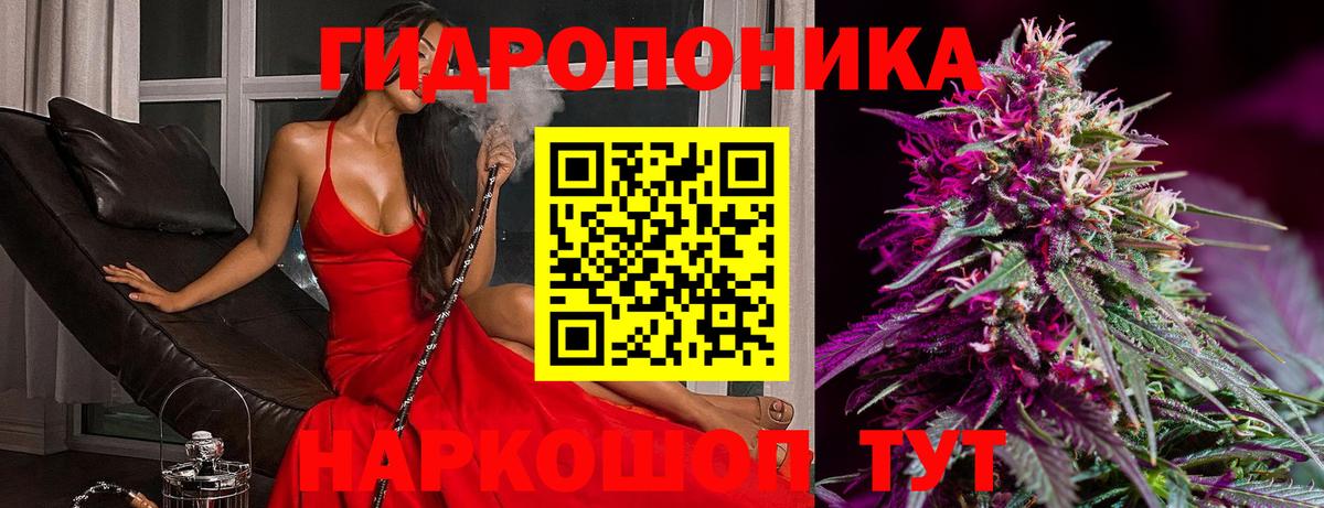 МАРИХУАНА план  Вход с VPN  Бошки Шишки тримм  Удомля 